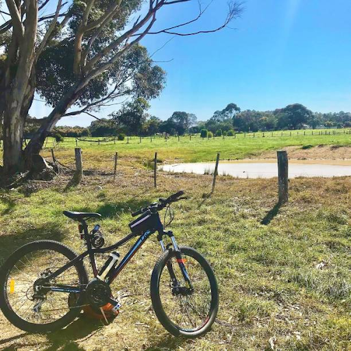best beginner road bike australia