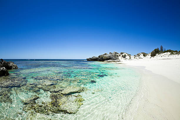 rottnest island day trips from perth