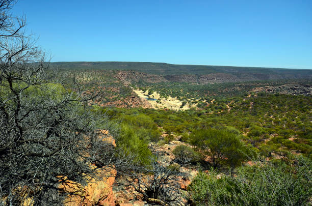 mudgee wine region