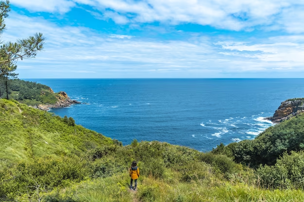 byron bay resort