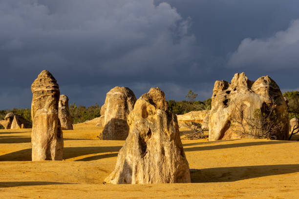 nambung national park accommodation