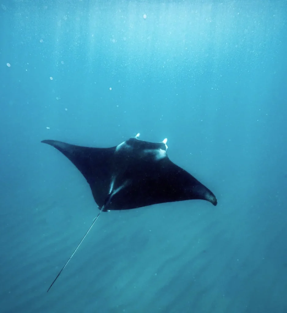 Ningaloo Reef