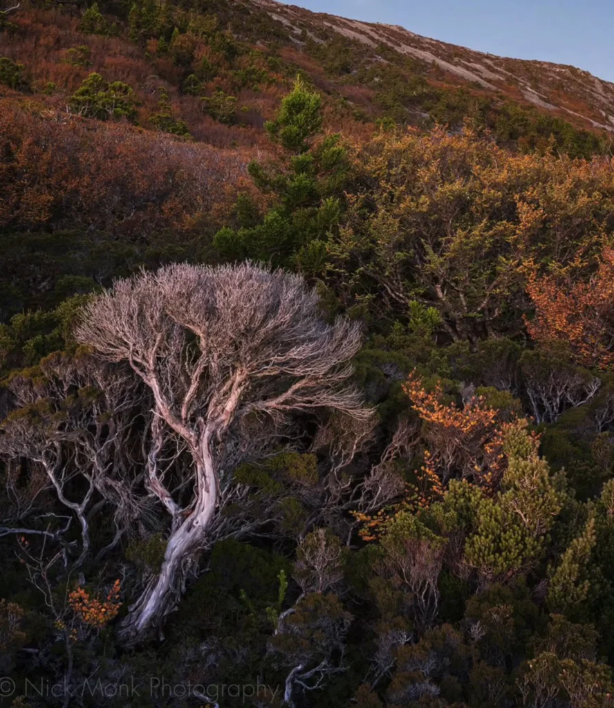 St Clair National Park