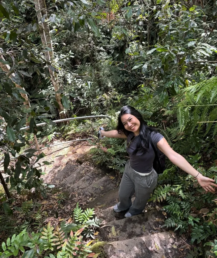 Blue Mountains National Park