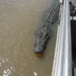 Safety on Every Cruise