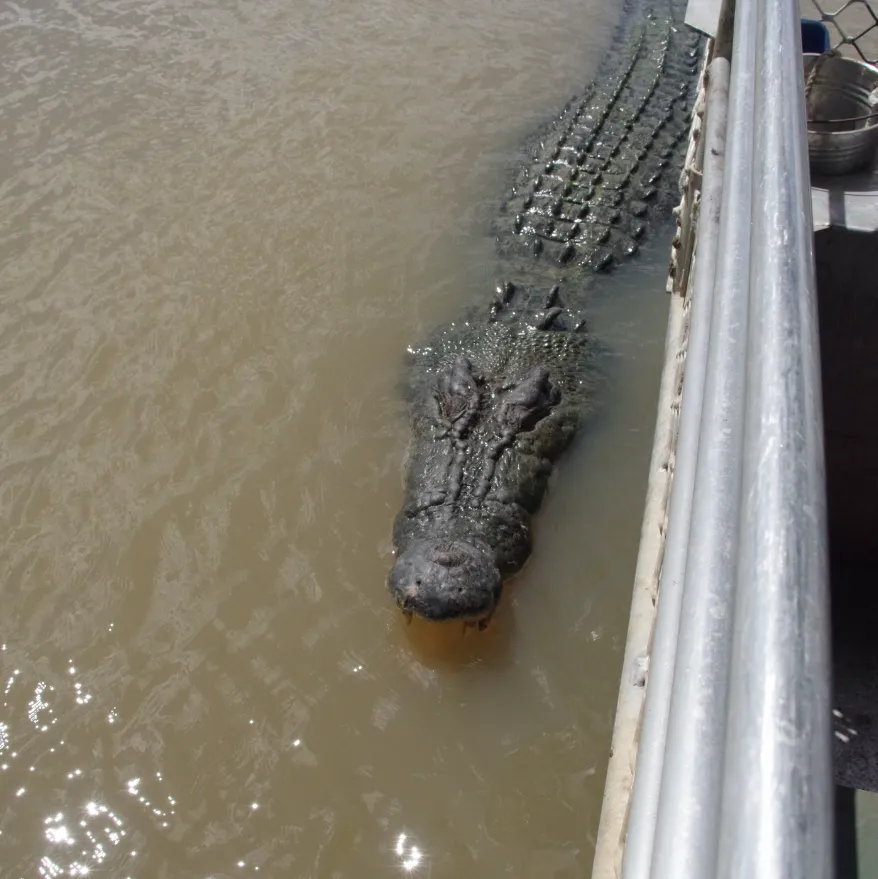 Safety on Every Cruise