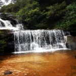 Where To Start Leura Cascades Walk